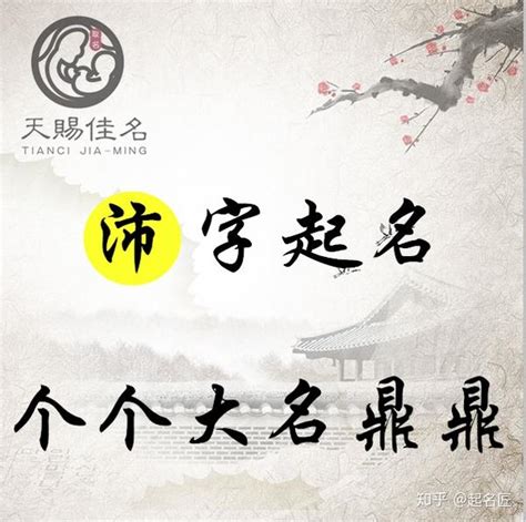 沛意思名字|沛字起名：运旺时盛，精力充沛的男孩女孩名字，个个大名鼎鼎